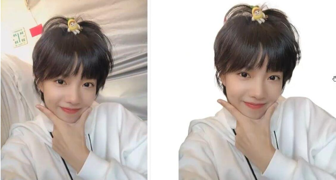 RMBG-2-Studio V2.0 抠图工具,支持批处理,毛发丝轻松扣