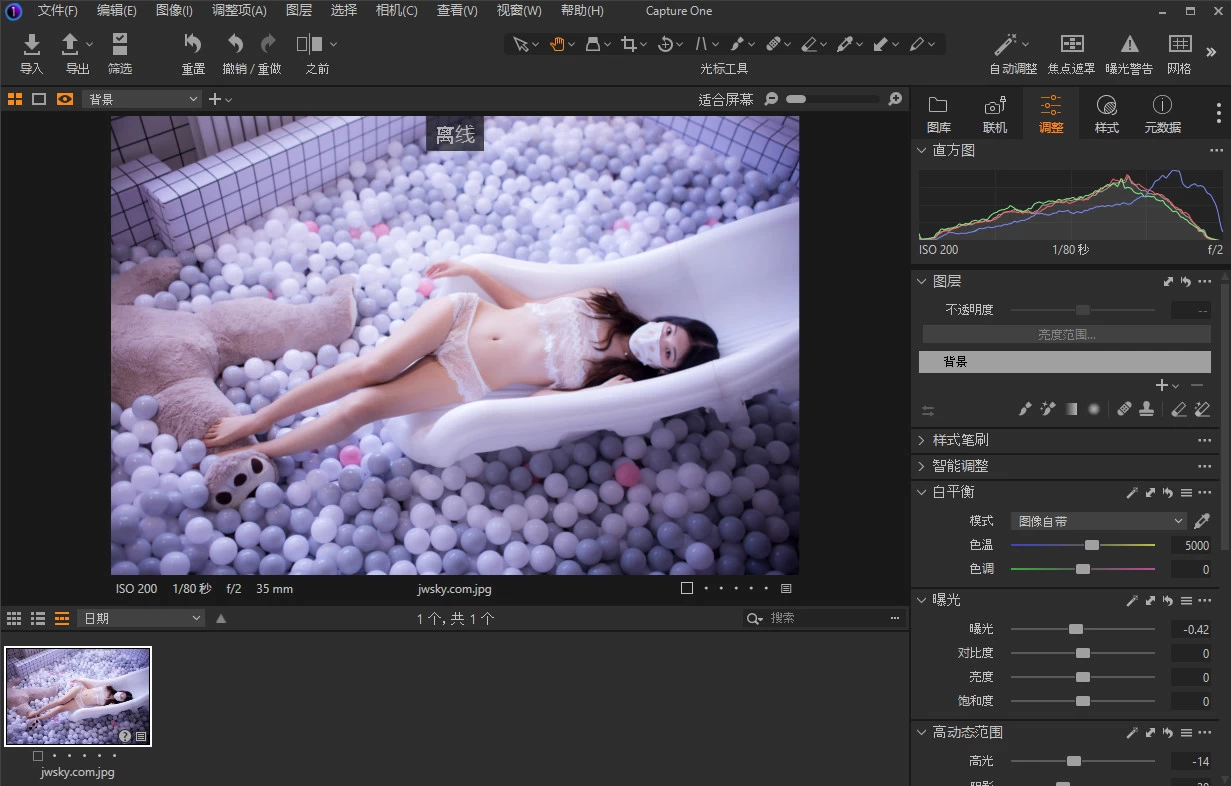 Capture One 23 RAW图像处理软件 v16.8.3.3645 中文破解版 第1张